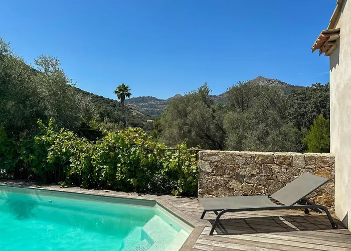 Domaine Celia Monticello