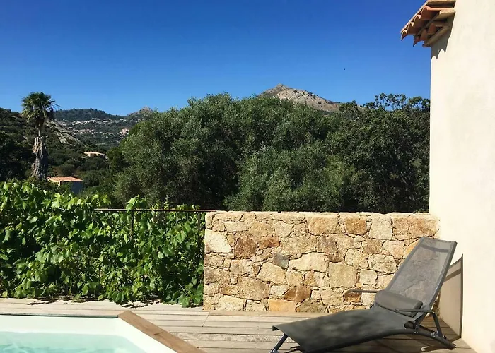 Domaine Celia Monticello