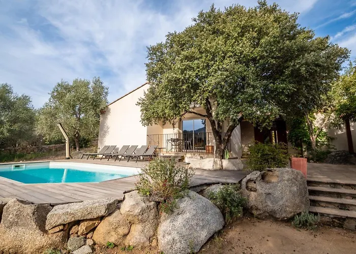 Domaine Celia Monticello