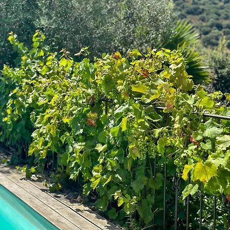 Domaine Celia Villa *