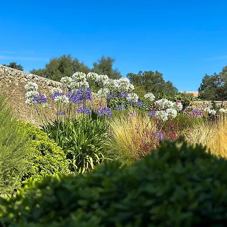 Domaine Celia Villa Monticello