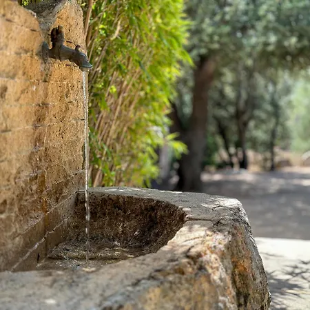 Willa Domaine Celia *