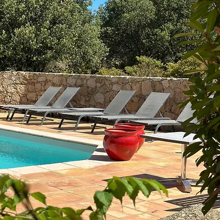 Domaine Celia * מונטיסלו