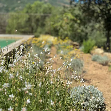Villa Domaine Celia *