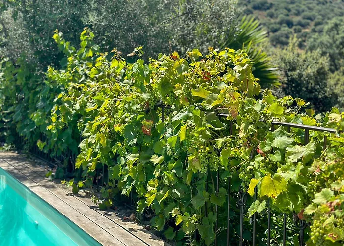 Domaine Celia Villa *